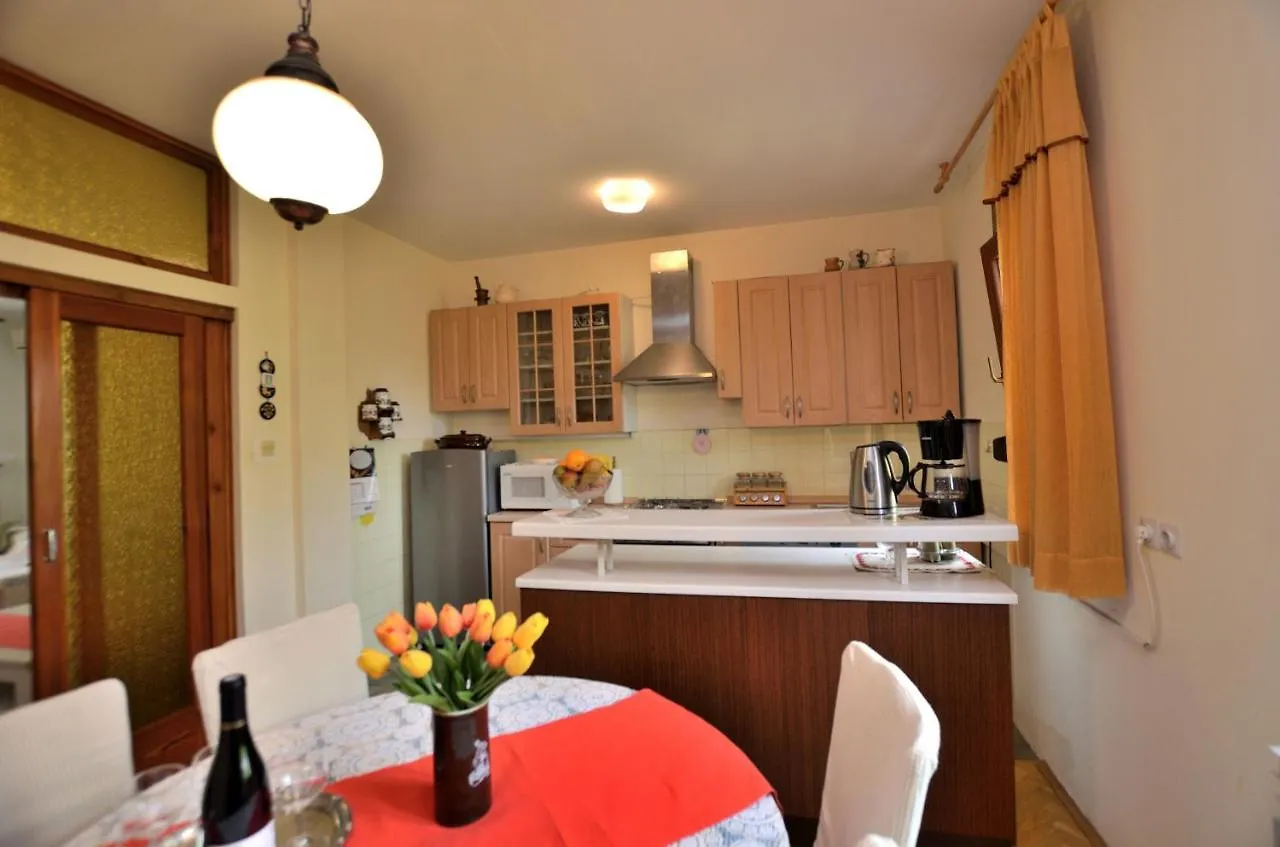 Apartment Kivi Valbandon 0*,